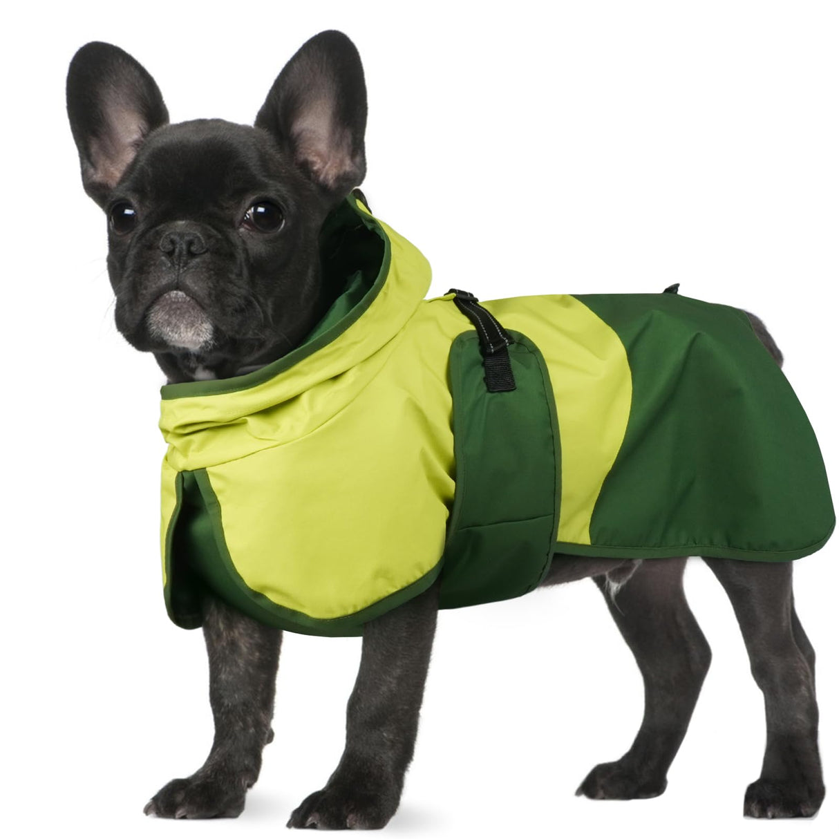 BRKURLEG Dog Raincoat for Small Medium and Large Dogs Waterproof Dog Rain Jacket Adjustable Hooded Dogs Raincoat Pet Rain Coat Poncho with Leash Hole, Reflective Strip, Green, M