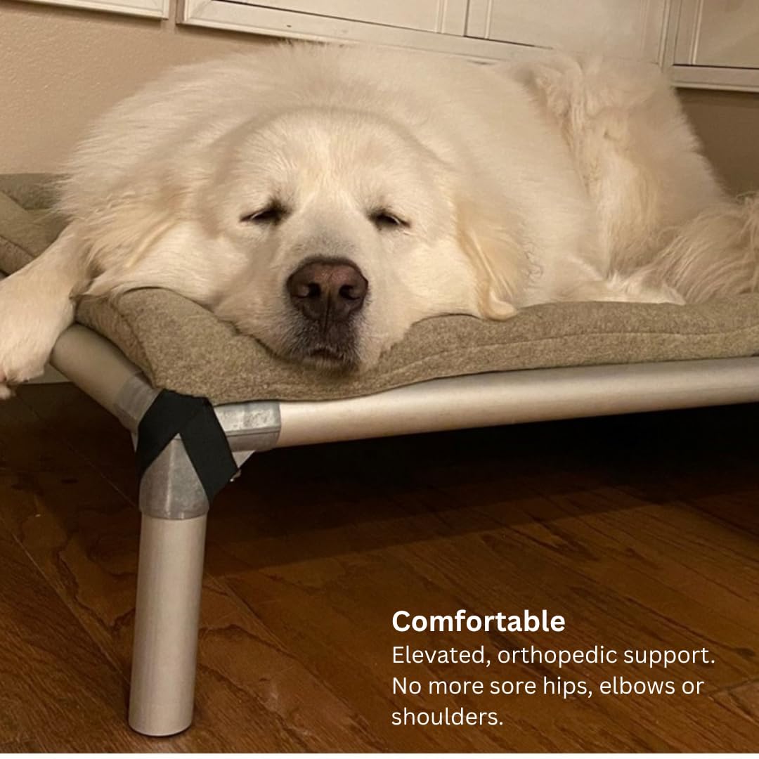 Kuranda Chewproof Elevated Dog Bed - Silver Aluminum - 30" x 20" - Cordura Nylon - Forest Green