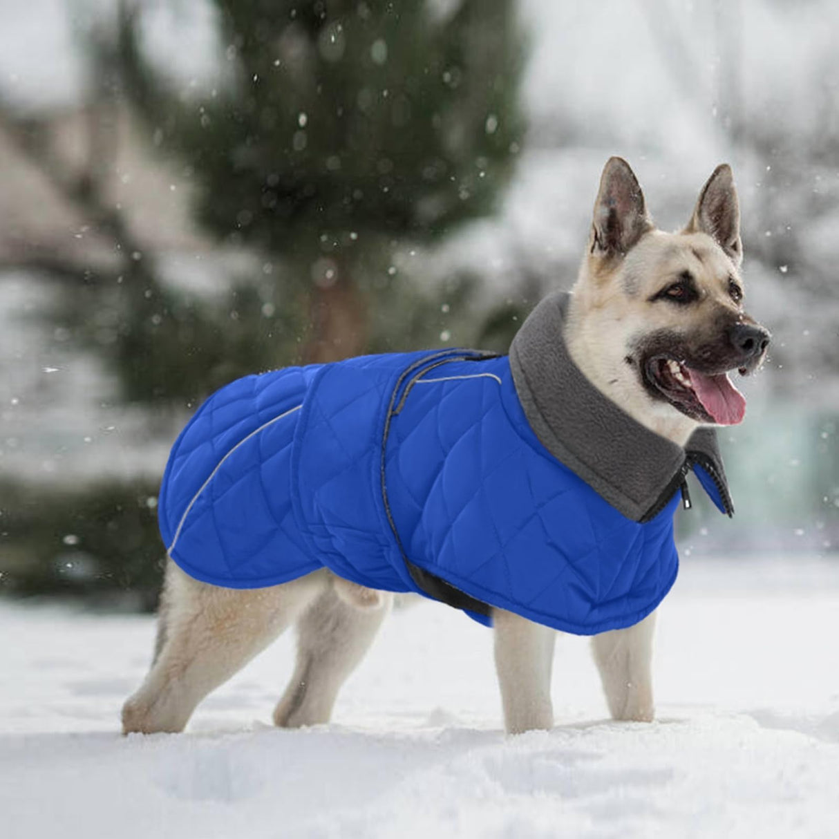 Kuoser Extra Warm Dog Coat, Windproof Cold Weather Dog Jackets for Large Dogs, Thick Fleece Lining Pet Turtleneck Snowsuit Reflective Adjustable Puppy Winter Coat Doggie Snow Jacket Blue, XL