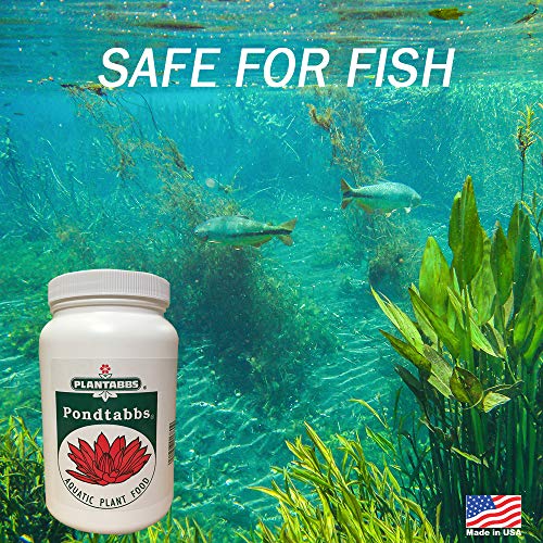 Planttabbs Products PondTabbs- 300 ct