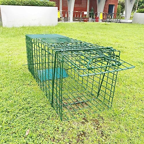 Collapsible Humane Live Animal Cage Trap No-Kill Trapping Kit for Humane Catch Release Rabbits, Stray Cat, Squirrel, Raccoon, All Fit Sized Animals, Heavy Duty, 2-Door 26" x 9.5" x 10.2", Hidden Green