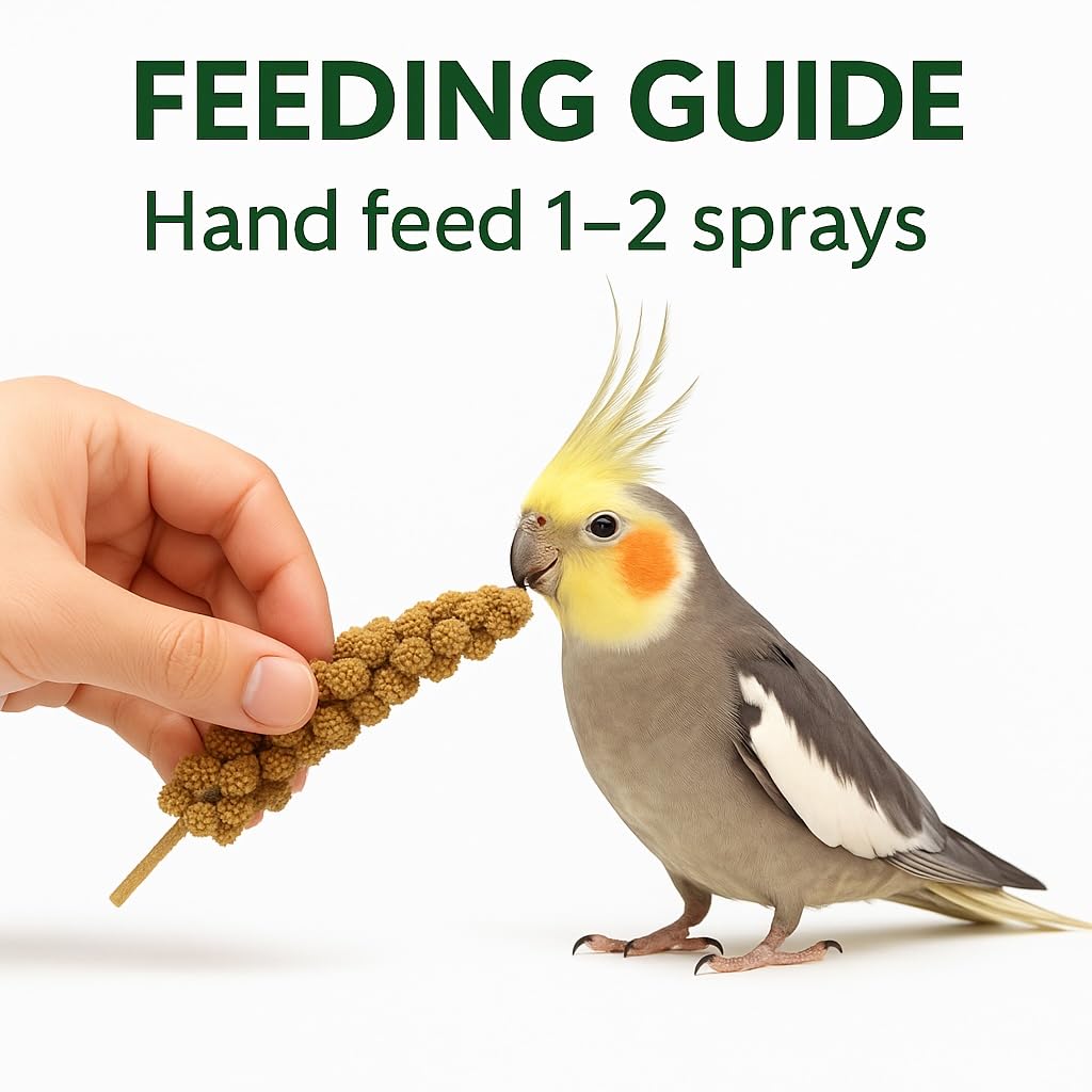 5lbs Economy & Special Spray Millet for Birds – GMO-Free, No Stems (Only Edible Tops) – 100% Natural Sun-Dried Foraging Treat for Cockatiels, Lovebirds, Parakeets, Finches & Canaries