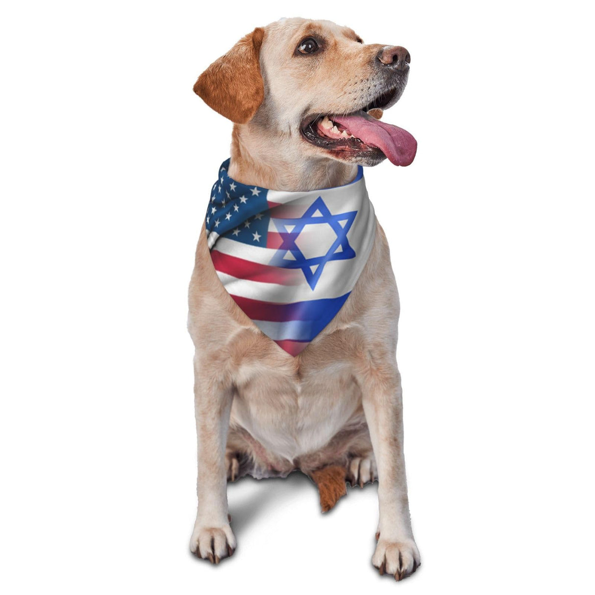 USA American and Israel Israeli Flags Dog Bandana Adjustable Triangle Pet Scarf Premium Quality Bandanas for Dogs and Cats