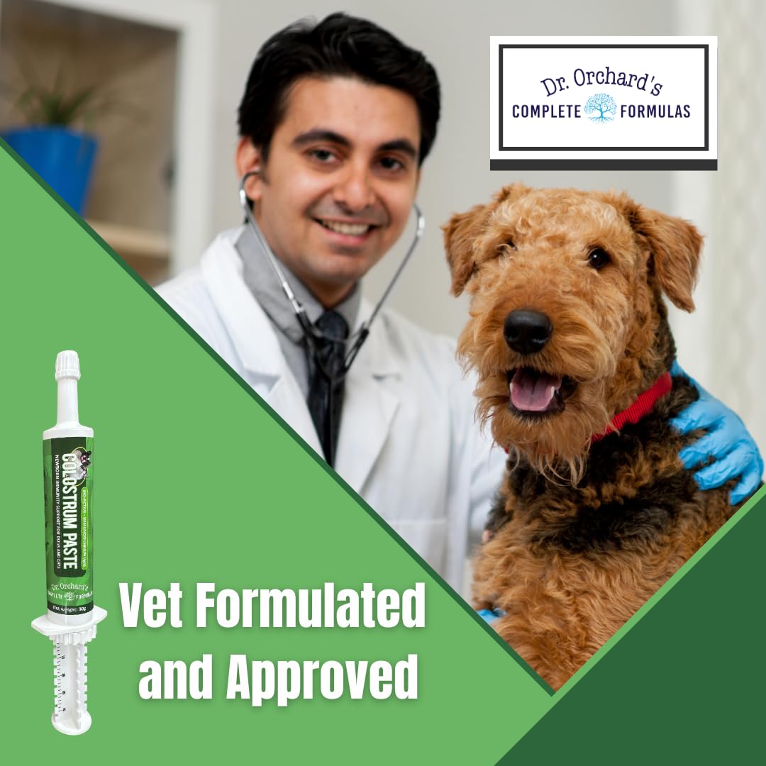 Dr. Orchard's Colostrum Paste, Immune Support Supplement for Puppies and Kittens, Bio-Active IgG Formula, 30g
