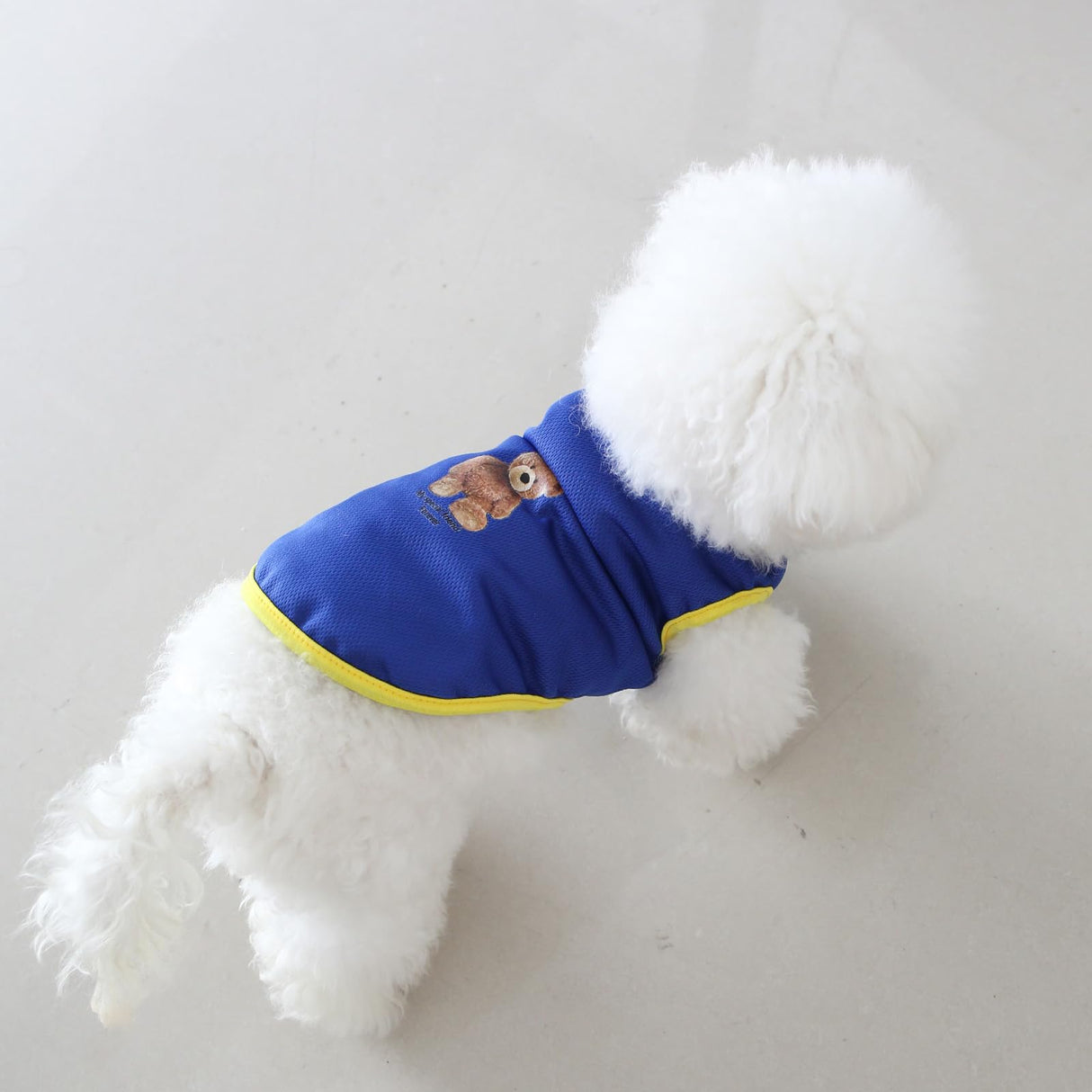 Ittokis 10 Pack Dog Cooling Shirts Breathable Instant Cooling Dogs Vest Lightweight for Summer Dog Clothes cat Clothes (3XL)