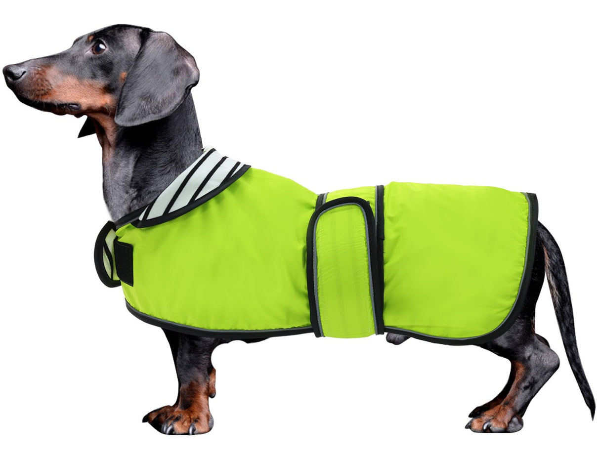 Dachshund Raincoat Corgi Raincoat Dogs Waterproof fit for Dachshunds Weiner Long Back Breeds with Reflective Stripe Great Coverage in Autumn Winter Light Green S