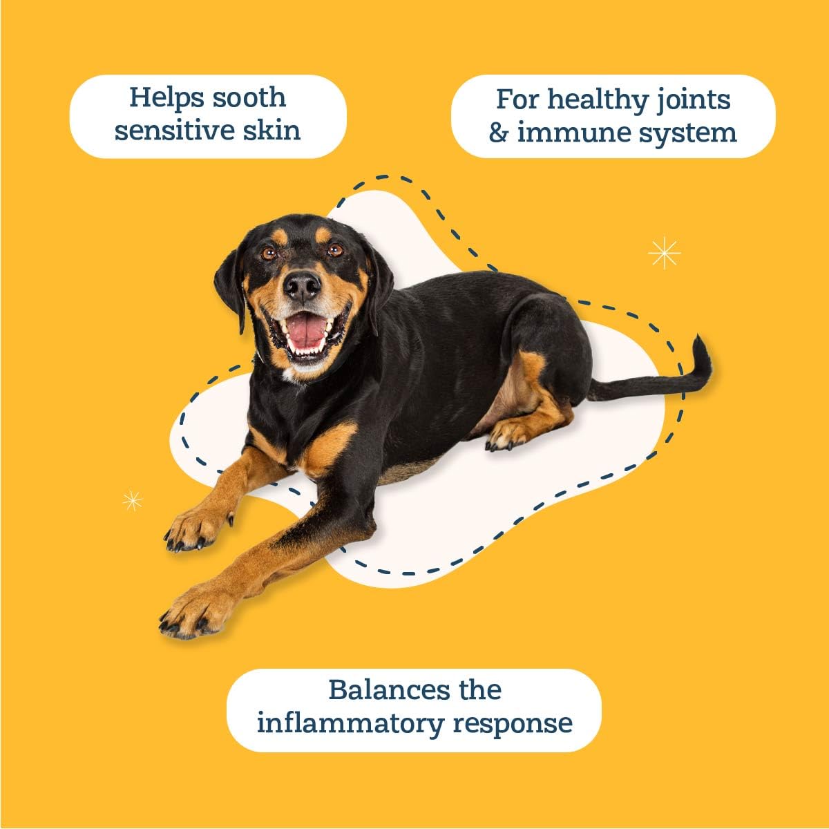 Alice & Eli Happy Skin - Seasonal Allergy Support with Quercetin & Bovine Colostrum - for Dogs with Sensitive Skin or Environmental Allergies