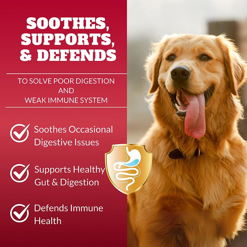 Dog Probiotics Chews Supplement – Digestive Support & Gut Health for Dogs, Helps Loose Stool, Gas & Sensitive Stomachs, Supports Itchy Skin, Allergy & Immune Health – 120 Ct