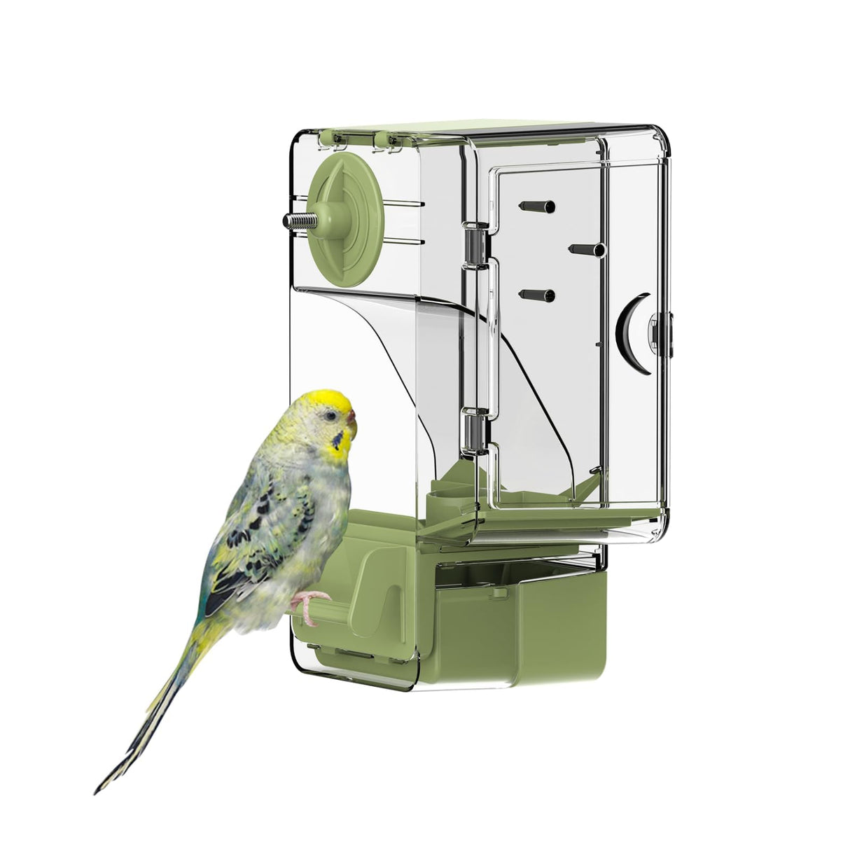 Automatic Bird Feeder, Bird Cage Feeder with Perch Multi-Functional Holder for Fruits Vegetables for Parakeet Canary Cockatiel Finch (Green)
