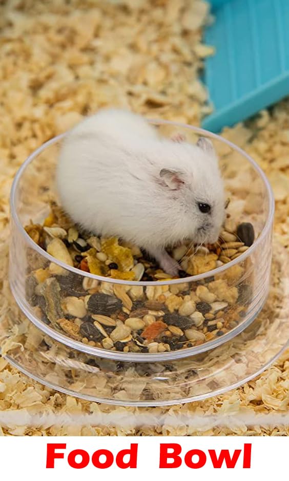 2 Levels Habitat Hamster Home Rodent Gerbil Mouse Mice Rat Wire Cage with Complete Set of Accessories (18" L x 12" W x 15" H, Blue)