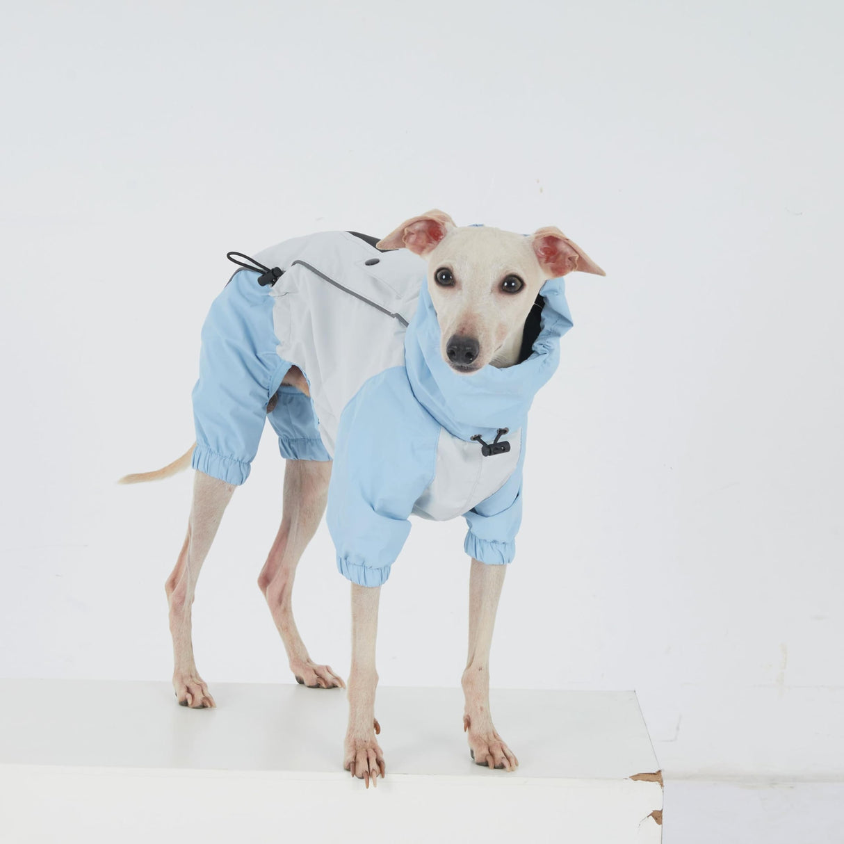 Dachshund Dog Raincoat with Legs, Waterproof Full Body Jacket, Hooded Outdoor Windbreaker for Small & Medium Dogs, Mini Dachshund Puppy Coat (Medium (13-17 lbs))