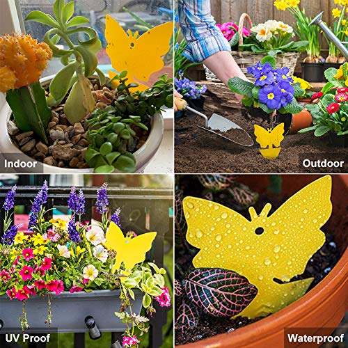 50 Pack Yellow Sticky Traps, 2 Patterns Fruit Fly Fungus Gnat Trap for Indoor/Outdoor Use, Houseplant Sticky Bug Insect Catcher Glue Trappers