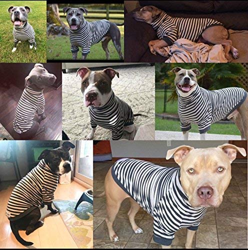 Tooth & Honey Dog Shirt for Large Dogs - Soft Cotton Spandex Pullover with Mid-Length Sleeves, Full Belly Coverage for Allergies, Skin Sensitivity & Lightweight Summer Dog Clothes - XL