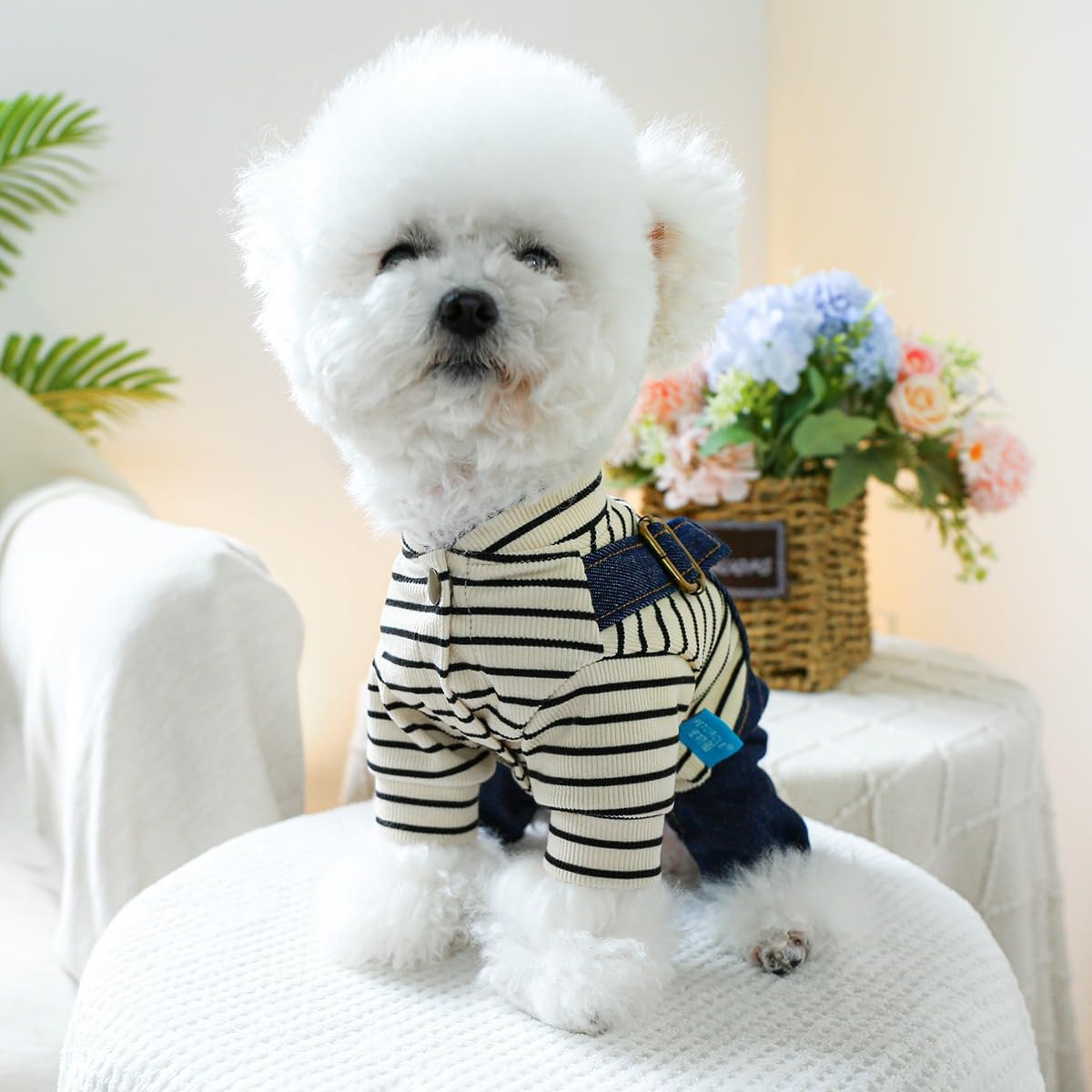 Pet Jean Jumpsuit Small Dog Clothes Costumes for Cats Dog Sweater Warm Dog Coat Winter Clothes for Dogs Summer Dog Clothes Dog Christmas Outfit Puppy Clothes Dog Winter Jacket Dog Costumes Apparel