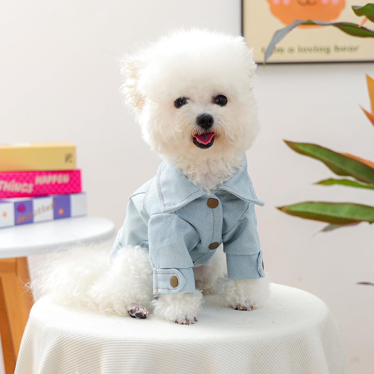 Love Hearts Dog Denim Jacket Clothes Pet Outfits Vest Jean Princess Puppy Jumpsuit Doggy Costume (Blue & Pink, X-Small)