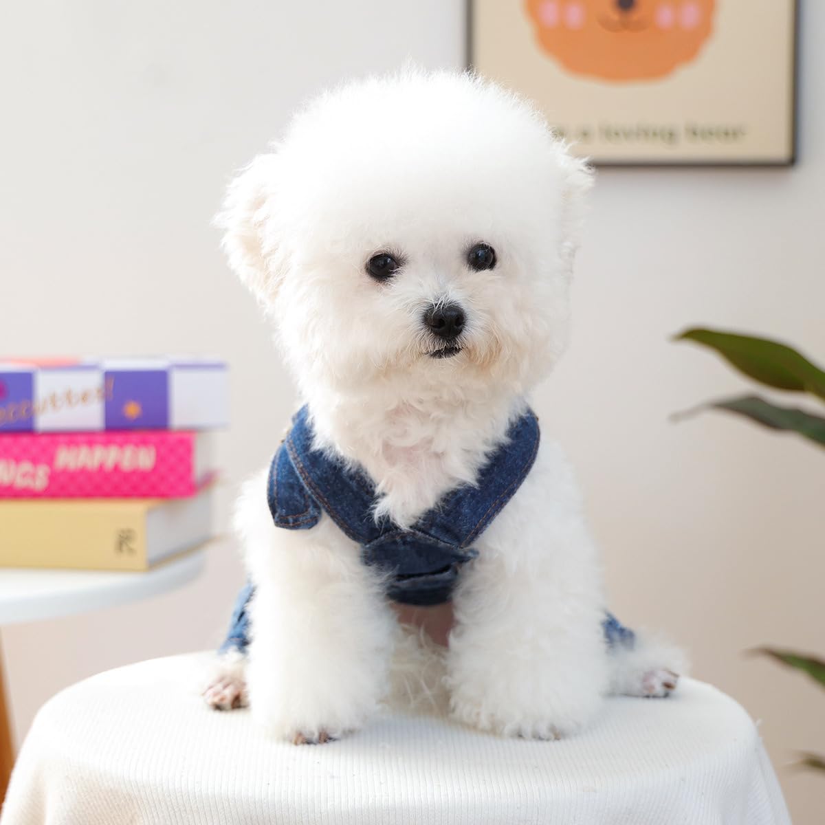 Dog Denim Overalls Clothes Puppy Jeans Bib Pants Costumes Small Dogs Jean Jacket Sling Jumpsuit Apparel Yorkie French Bulldog Chihuahua Dachshund Denim Onesies Pet Comfortable Jean Outfits