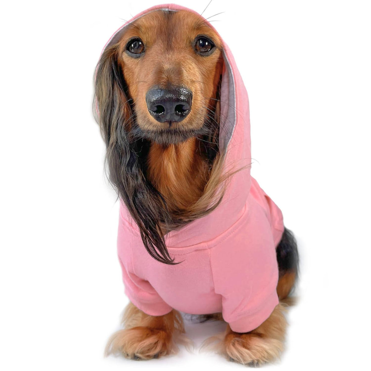 DJANGO Dog Hoodie – Warm Winter Dog Sweater & Fully Lined, Cozy Sweatshirt for Small & Medium Dogs, Dachshunds – Soft, Stretchy, Puppy Hoodie with Leash Portal, Elastic Waistband – Quartz Pink, Small