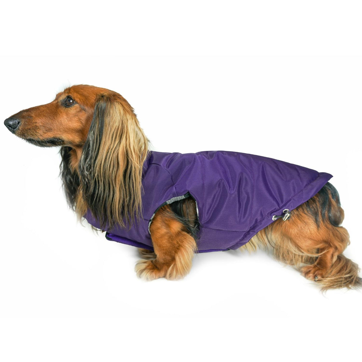 DJANGO Reversible Puffer Dog Coat – Warm Winter Dog Jacket & Water-Repellent Insulated Dog Coat w/Harness Hole, Windproof, Adjustable Fit for Small & Medium Dogs, Dachshunds – Violet Purple, Large