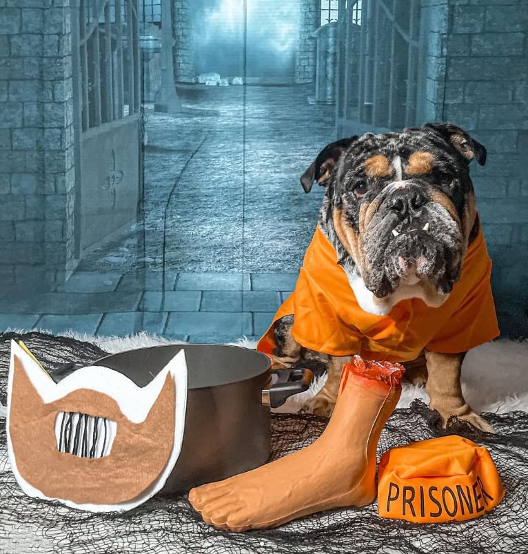 Midlee Orange Halloween Costume (XXX-Large)