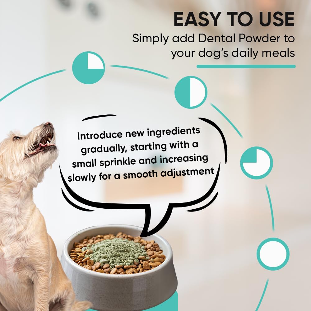 iHeartDogs Clean Teeth & Fresh Breath Dental Powder for Dogs - Targets Tartar & Bad Breath - Natural Herbal Blend with Kelp, Probiotics - Mint, 90 Servings