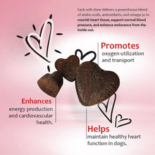 Load image into Gallery viewer, Heart Support Supplement for Dogs-Vet-Formulated, Antioxidant-Rich-L-Taurine, L-Carnitine,EPA,DHA,CoQ10-Aids Circulatory Strength, Cardiovascular Support, Heart Muscle Function-USA Made-60 Soft Chews