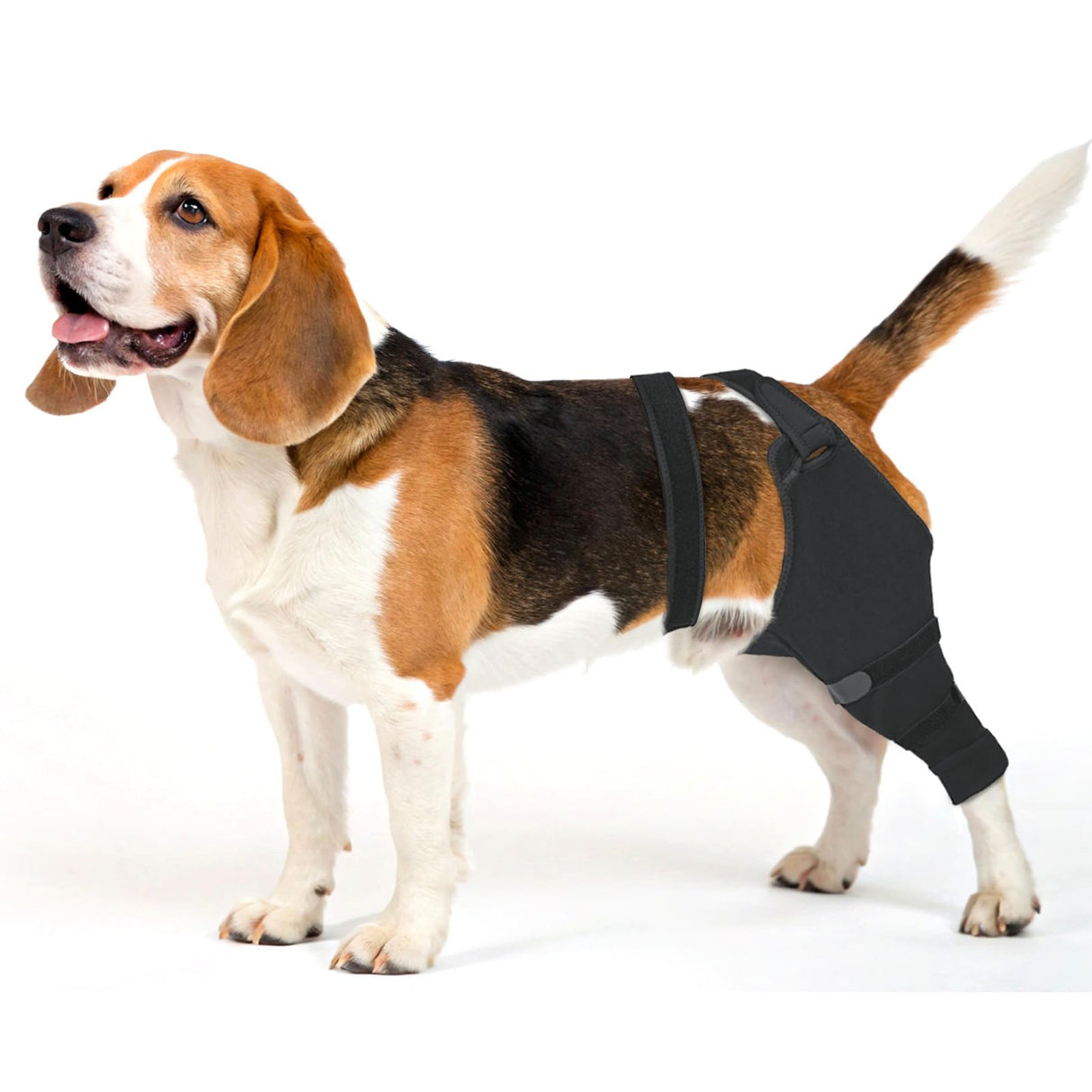 Joypig Dog Rear Leg Sleeve to Stop Licking: Soft Recovery Wrap for Hind/Back Leg Wounds, TPLO ACL Surgery, Surgical Sleeve for Small Medium Large Dogs, Cone Alternative (Left-XS,Glossy Black)