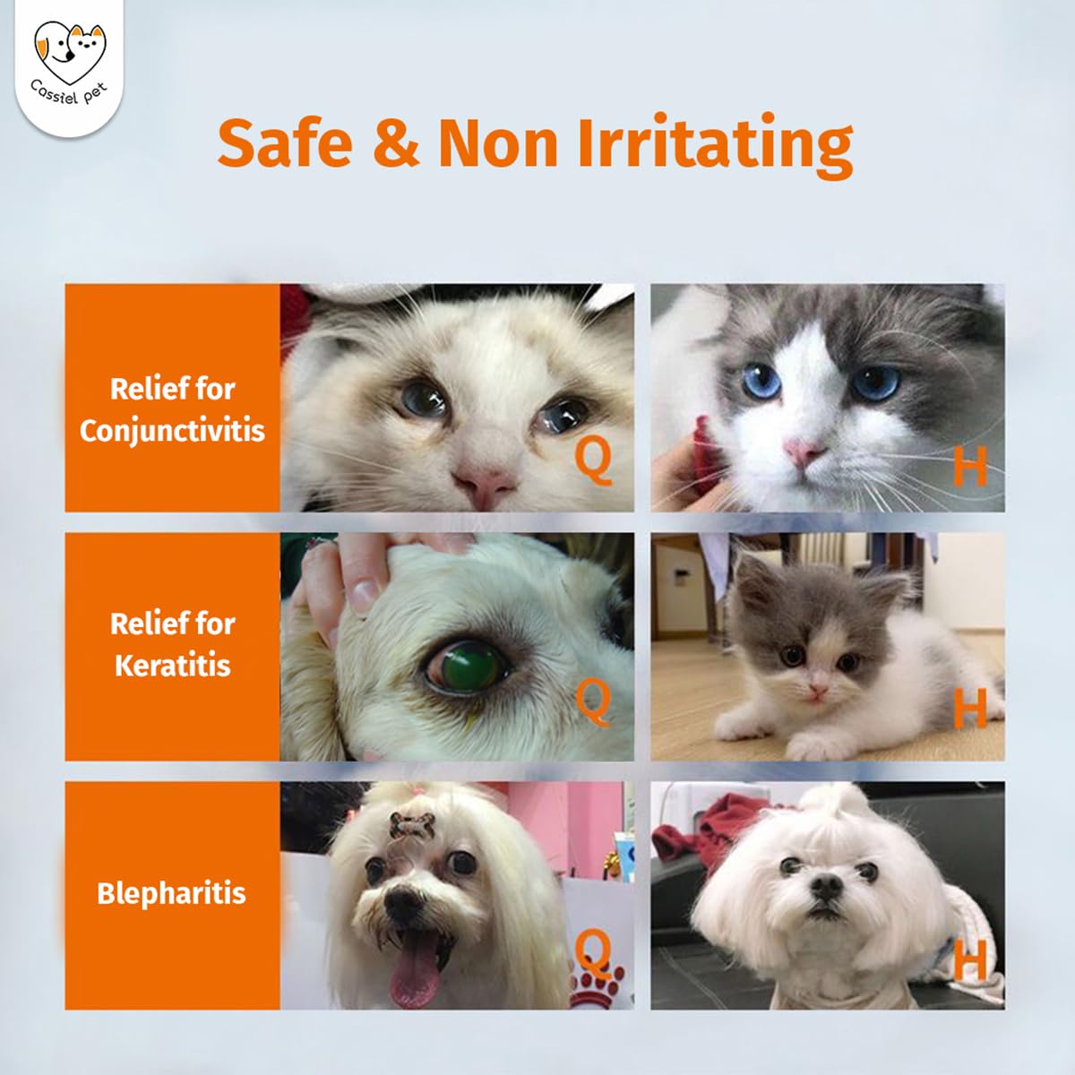 Cassiel pet Eye Drops for Eye Infection Treatment, Soothe Infection Allergy, Relieve Dry Eyes & Red Eye,Eye Cleaner and Tear Stain Remover for Dogs and Cats | 10 ml 0.33 FL OZ (1 Bottle)