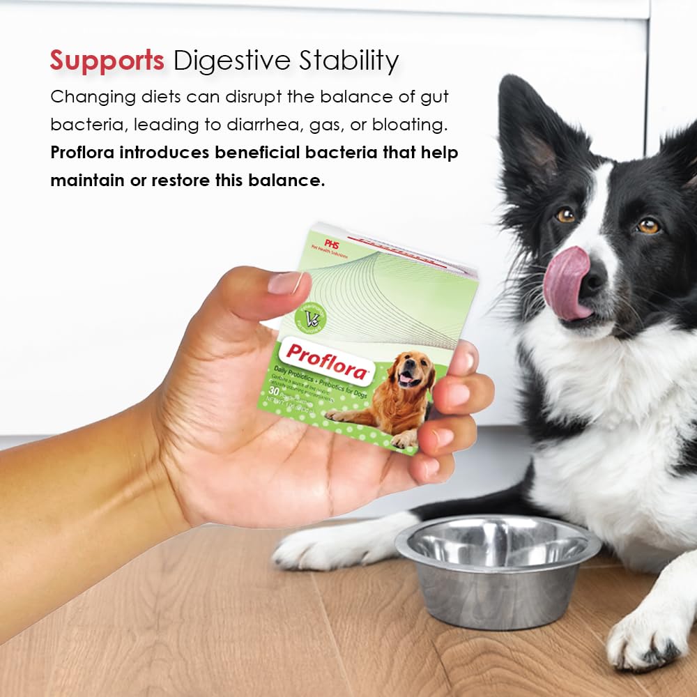 Proflora Probiotics for Dogs-Complete Gut Health & Immune Support. Easy to Use Digestive Multi-Strain Probiotics. Easier Diet Transitions, Healthier Skin & Coat & Helps Treat Diarrhea. 30 Packets.
