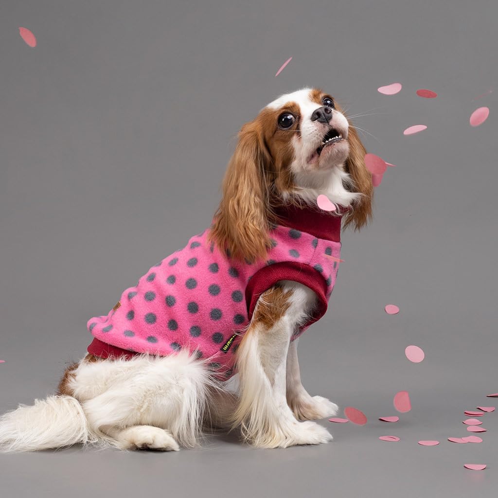 Fitwarm Fleece Polka Dot Dog Sweater, Thermal Dog Winter Clothes for Small Dogs Girl Boy, Doggy Pullover Jumper, Pet Outfit, Burgundy Red, Pink, Grey, XL