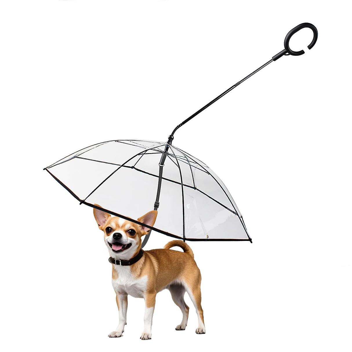 NAMSAN Dog Umbrella for Small Dogs, Self-Assembly Dog Umbrella Leash, Clear Doggie Rain Umbrella, Puppy Walking Umbrella with Adjustable Leash
