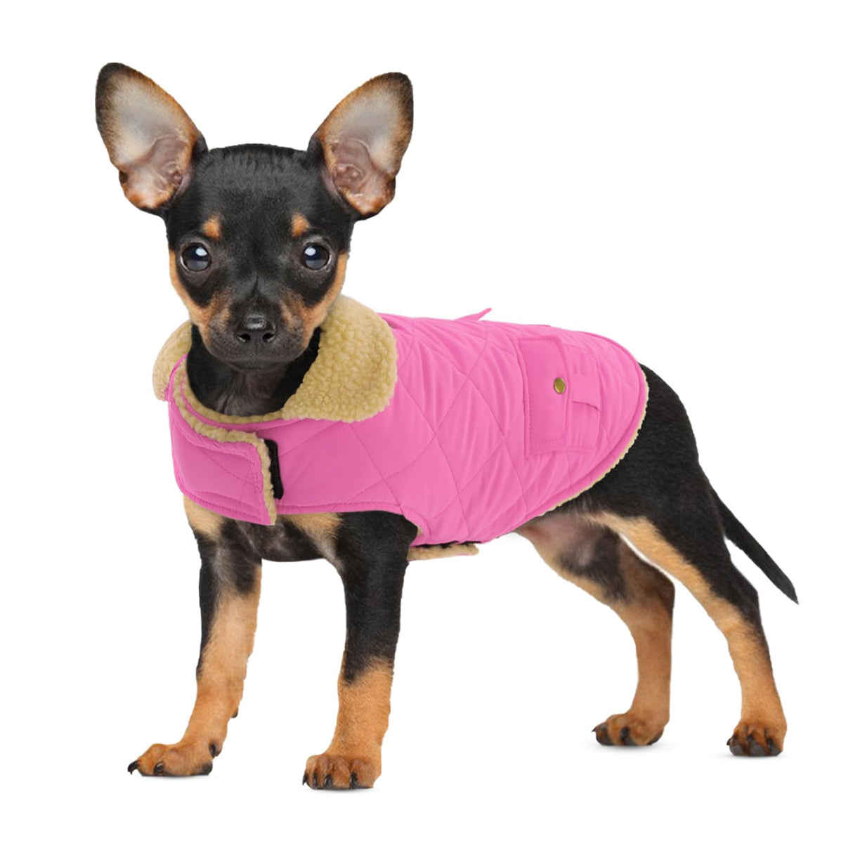 Winter Coat for Small Dogs, Puppy Plaid Jacket, Cotton Coat for Cold Weather, Windproof Warm Dog Garments, Pet Thickened Outfits Indoor Outdoor, Pink S