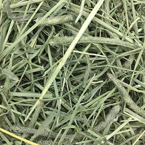 Oxbow Animal Health Western Timothy Hay - All Natural Hay for Rabbits, Guinea Pigs, Chinchillas, Hamsters & Gerbils- Made in the USA- Fiber Rich- Veterinarian Recommended - 25 lb. Bulk Size