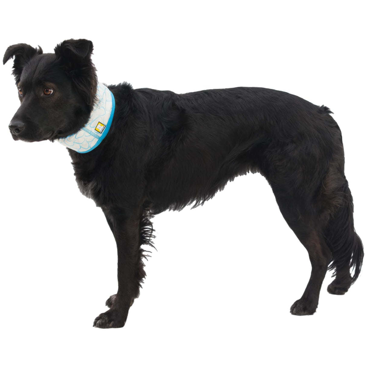 Ruffwear, Swamp Cooler Dog Neck Gaiter, Evaporative Cooling Gear for Hot Weather, Graphite Gray, Medium