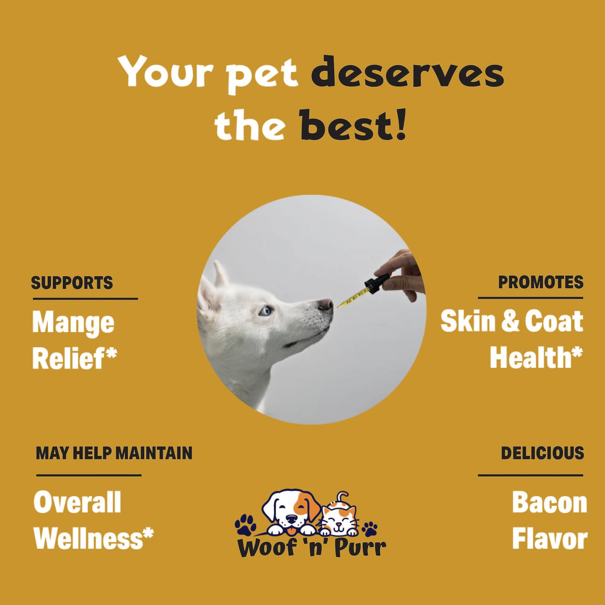Natural Mange Treatment Dogs - Mange in Dogs Treatment - Dog Mange Treatment - Mange Treatment - Mange Treatment for Dogs - Mange Relief for Dogs - Dog Mange - Mange in Dogs - 1 fl oz - Bacon Flavor