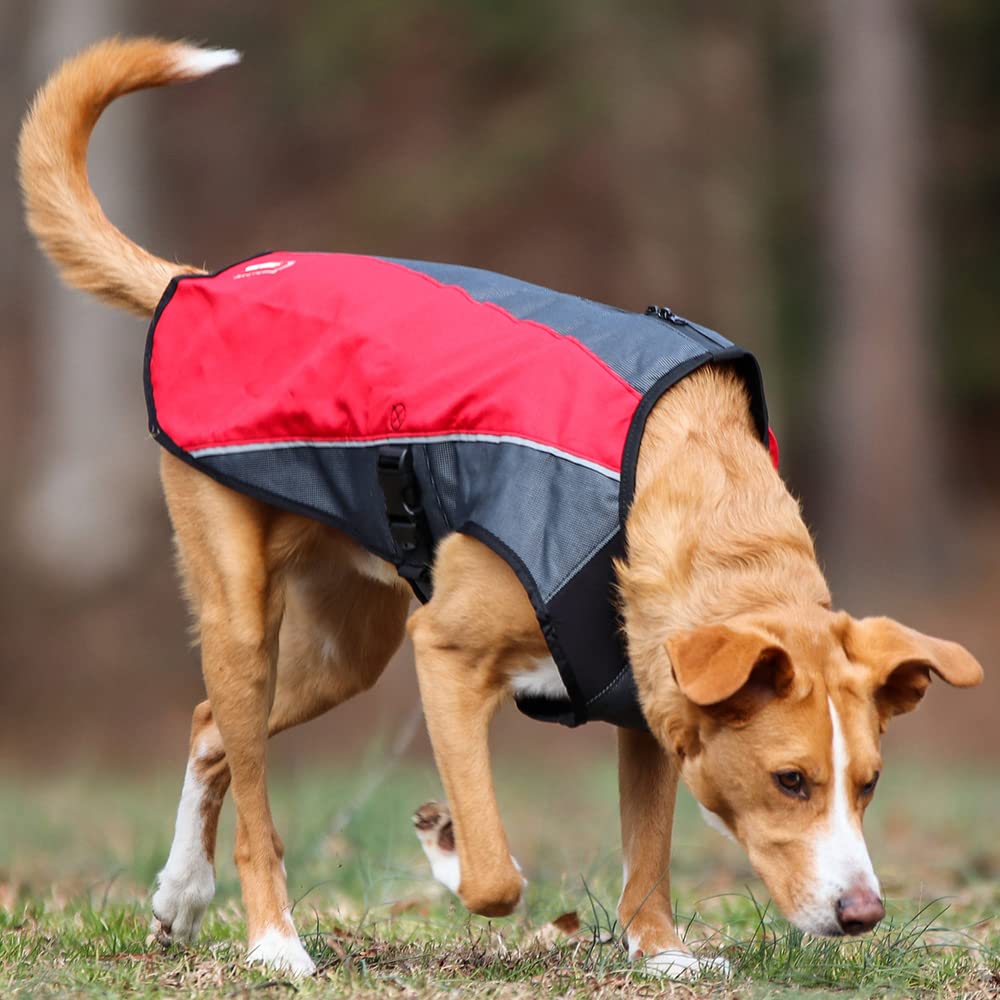 EzyDog Element Jacket - Simple to FIT Water & Wind Proof Dog Jacket (X-Large, Scarlet)