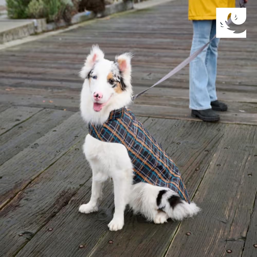 RC Pets Delta Rain Slicker, Water-Resistant Dog Raincoat, Medium, Lemon