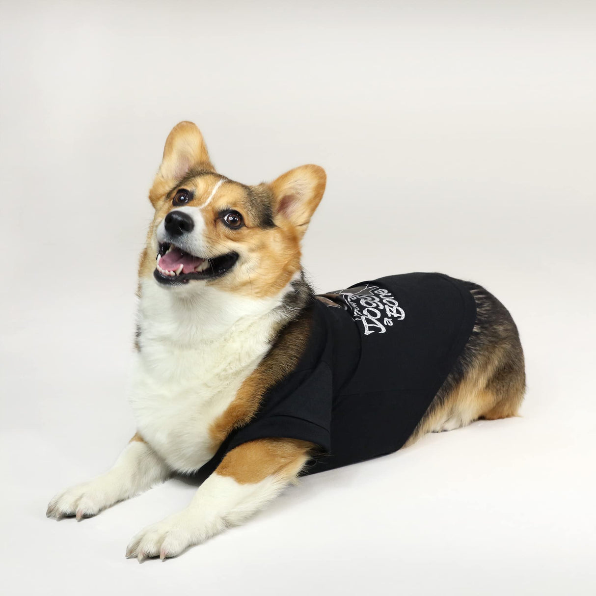 Snoop Doggie Doggs Deluxe Pet T-Shirt, Throw a Dogg a Bone, Medium