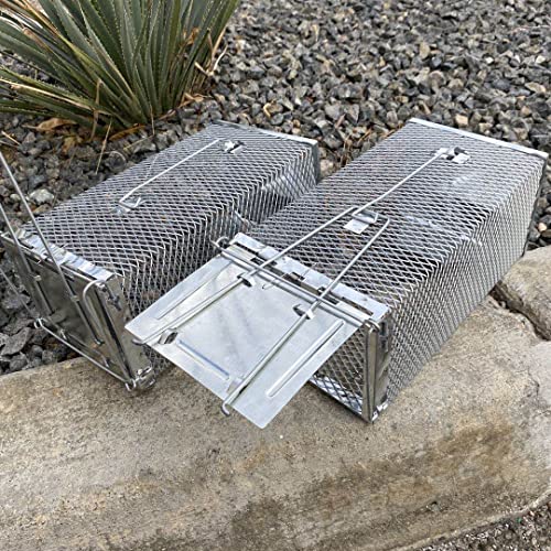 AOK Home Mouse Trap Rat Trap Rodent Trap Live Catch Cage Easy to Set Up and Reuse 11x6x4.5 inch