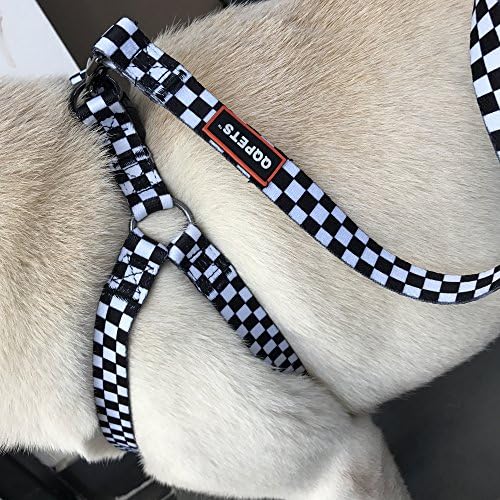 QQPETS Dog Harness Leash Set Adjustable Heavy Duty No Pull Halter Harnesses for Small Medium Large Breed Dogs Back Clip Anti-Twist Perfect for Walking (M(19"-26" Chest Girth), Black Plaid)