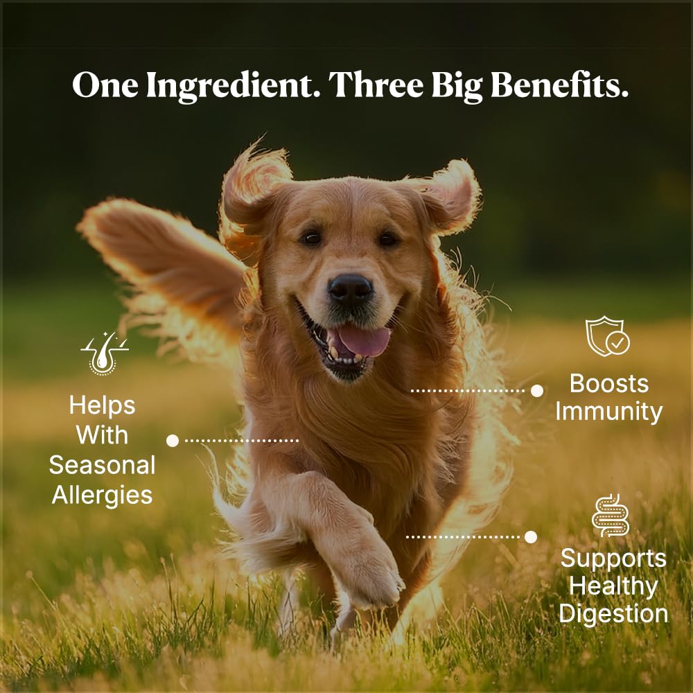PupRx Colostrum for Dogs - 25% IgG Pure Bovine Colostrum Powder Supports Immune & Gut - Digestive Health, Allergy, Skin & Itch Relief - No Fillers, Grass-Fed USA Sourced – 60g (~120 Scoops)