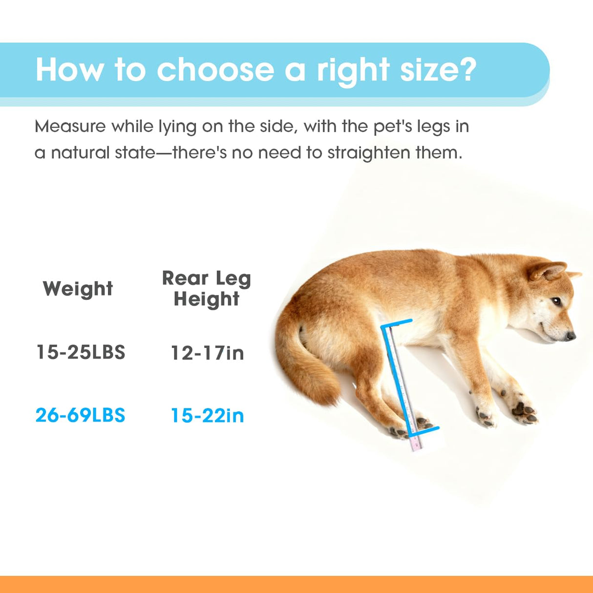 TailWaggers Medium Dog Wheelchair for Back Legs | Adjustable Mobility Aid | All-Terrain Wheels| for Pets That fit a Border Collie,Golden Retriever Dog's Size