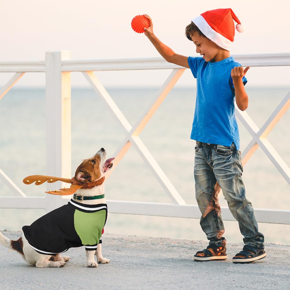 GreenJoy Cute Dog Sweater - Stretchy Dog Pullover Sweatshirt,Soft and Warm Winter Clothes for Boy & Girl Dogs,Suitable for Puppies & Adult Dogs (Black+Red+Green, Large/X-Large)