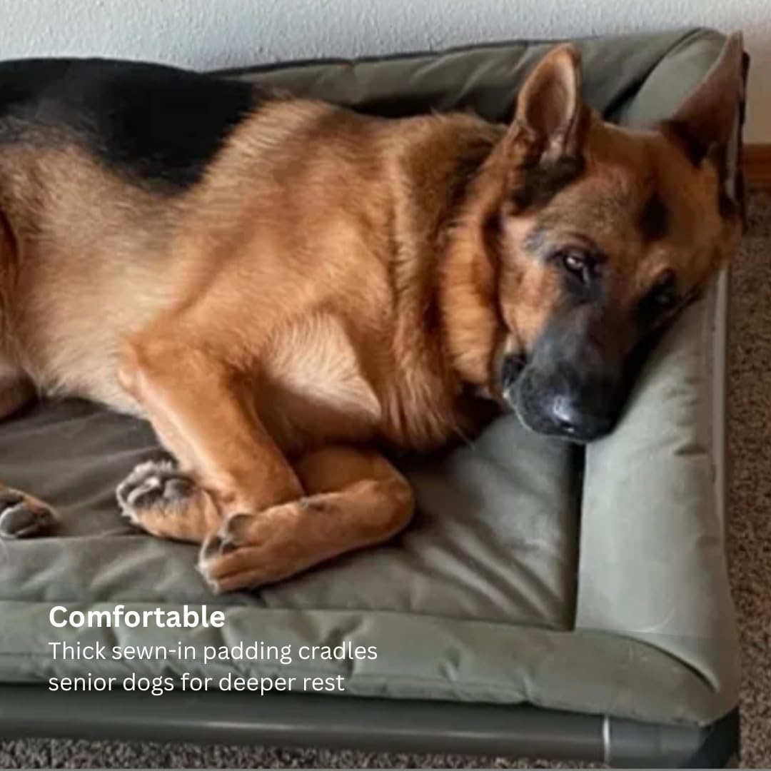 Kuranda Orthopedic Canvas Dog Bed Pad – Durable Cordura® Fabric with Quilted Padding - XX-Large - 50" x 36" - Royal Blue