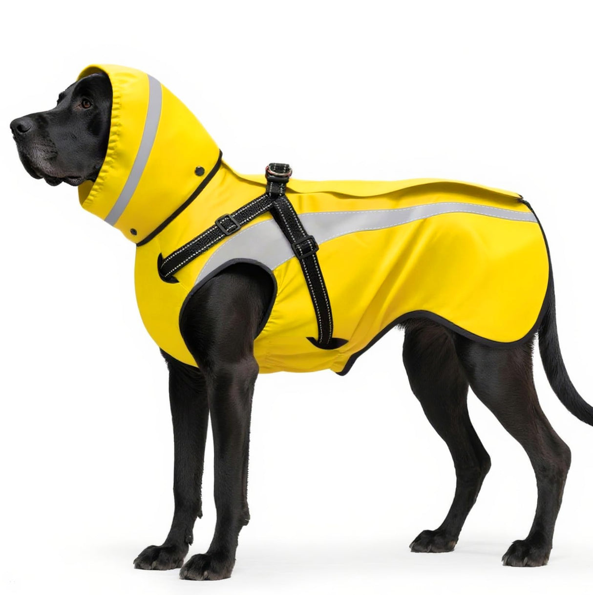 Mosucoirl Dog Raincoat Waterproof Raincoats for Dog Reflective Dogs Rain Jackets with Hood Hoodie Pet Rain Poncho Coat for Small Medium Large Dogs Puppies S-XXL (Yellow, M)