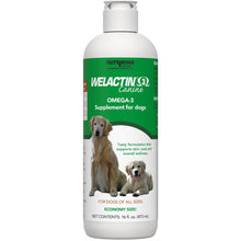 Load image into Gallery viewer, Nutramax Welactin Omega 3 Fish Oil for Dogs, Skin and Coat Health Supplement, Plus Joint, Immune, Kidney, and Brain Support, Premium Omega 3 Fatty Acids, For Dogs, 16 Ounce Liquid