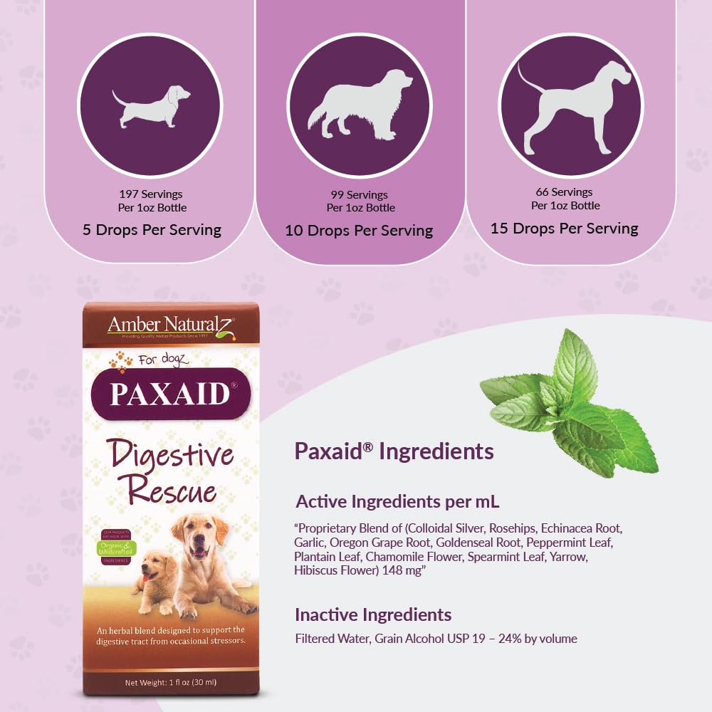 Amber NaturalZ Paxaid Digestive Rescue for Dogs and Puppies | Supports Normal Appetite, Gut Function, and Stool Consistency During Occasional Gastric Discomfort and Dietary Changes 1 Fluid Ounce