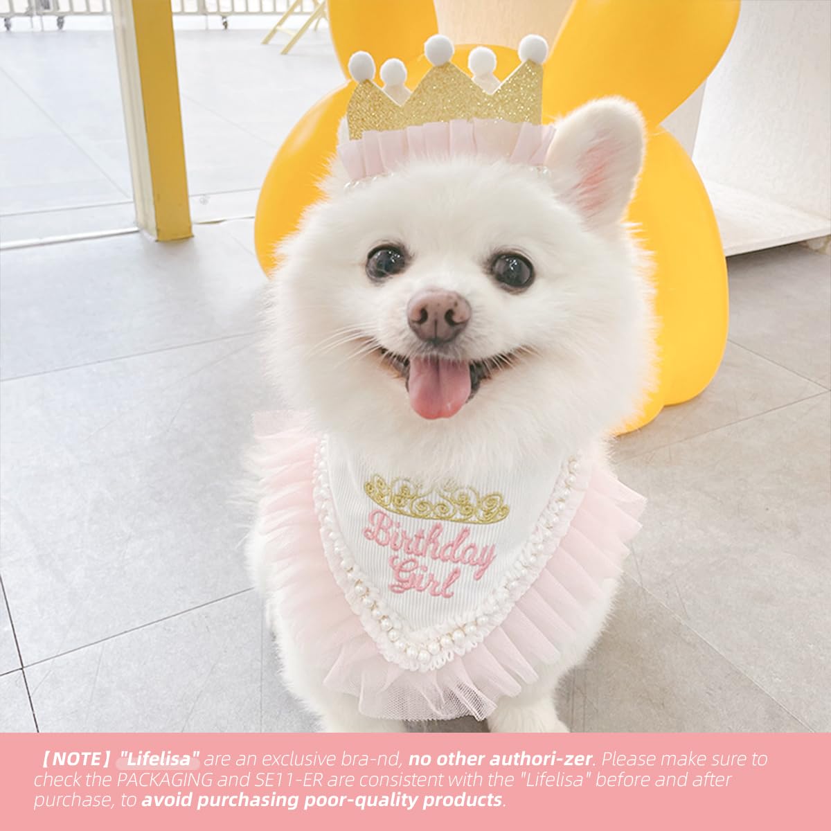 Princess Dog Crown Hat Scarf Set, Dog Birthday Hat Dress Outfit, Wedding Party Supplies for Girl Cats and Small Mini Dogs (GoldPearl)
