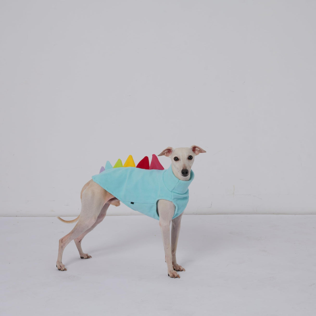 ESCCBOO Italian Greyhound & Dachshund Dog Fleece Dinosaur Sleeveless Onesie, Cozy Turtleneck Costume Outfit for Mini Dachshund Italian Greyhound Whippets (Blue, XX-Large)