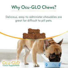 Load image into Gallery viewer, Ocu-GLO Cat & Dog Senior Supplement for Eye Support - Chewable Vision Vitamins Supplements for Large and Small Pets Care with Lutein, Omega-3 Fatty Acids, Grape Seed Extract & Antioxidants