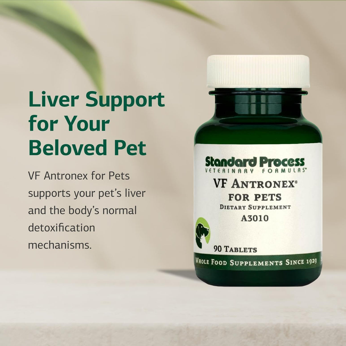 Standard Process Inc. VF Antronex for Pets - Feline & Canine Hepatic Support Formula - Healthy Liver Supplement for Cats & Dogs - Antronex Supplement to Support Healthy Immune System - 90 Tablets